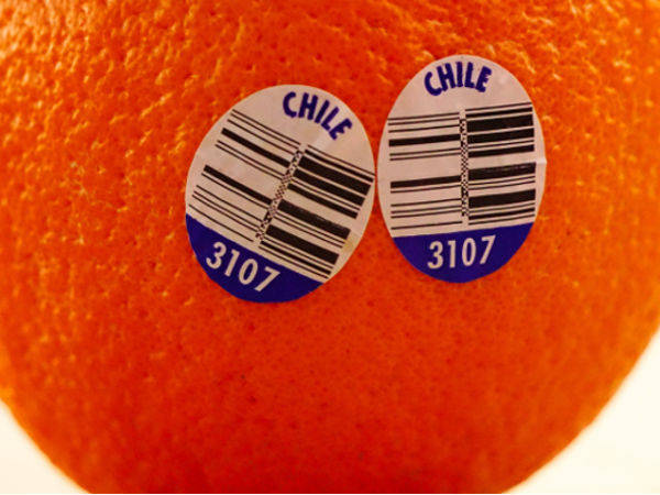 Orange Chili