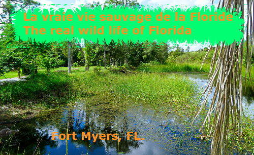 boondockers welcome free rv camping Jay's